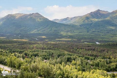22637 Eagle Glacier Loop, Eagle River, AK 99577 photo 28