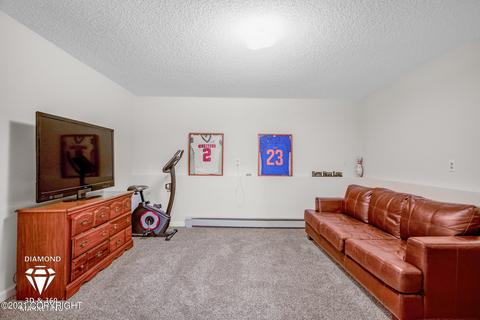 1410 Summit View St, Anchorage, AK 99504 photo 52