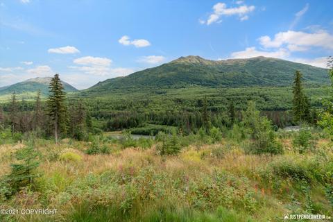 20321 Riverside Dr # 12B, Eagle River, AK 99577 photo 20