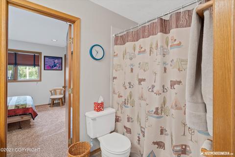 8839 Dome Cir, Eagle River, AK 99577 photo 21