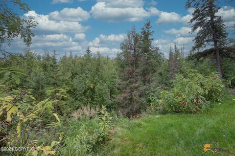 7021 E Tree Ct, Anchorage, AK 99507 photo 64