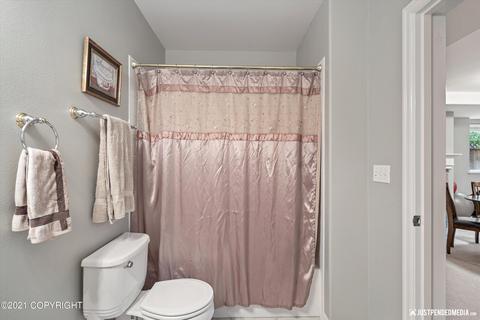 8722 Plumas Cir, Eagle River, AK 99577 photo 42