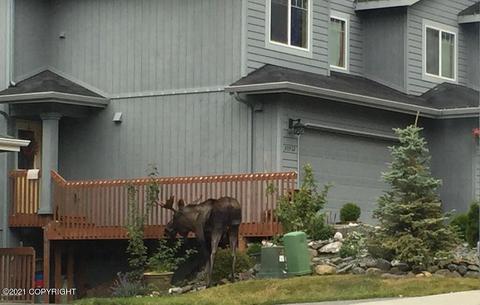 20532 Icefall Dr, Eagle River, AK 99577 photo 34