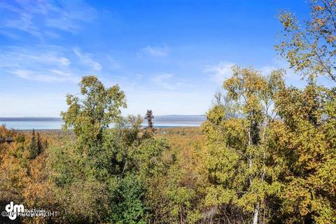 23745 Sleepy Cir, Chugiak, AK 99567 photo 69