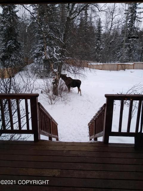 23745 Sleepy Cir, Chugiak, AK 99567 photo 89