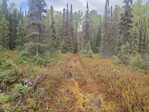19024 E Keystone Dr, Willow, AK 99688 photo 13