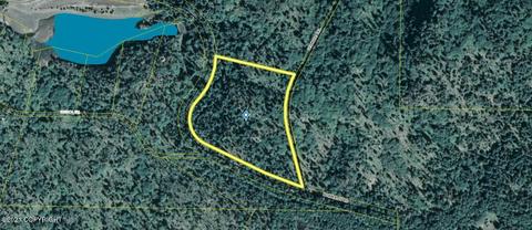L20 Pomeroy Road, Remote, AK 99603