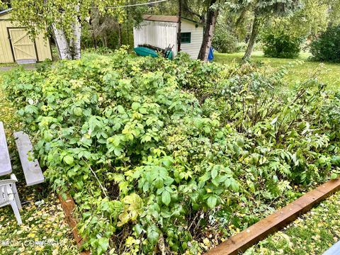 401 E 23rd Ave, Anchorage, AK 99503 photo 23