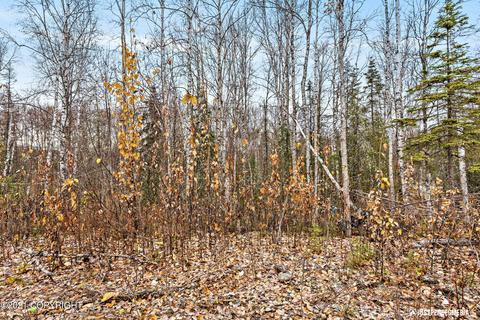 5700 W Raspberry Loop, Wasilla, AK 99654 photo 28
