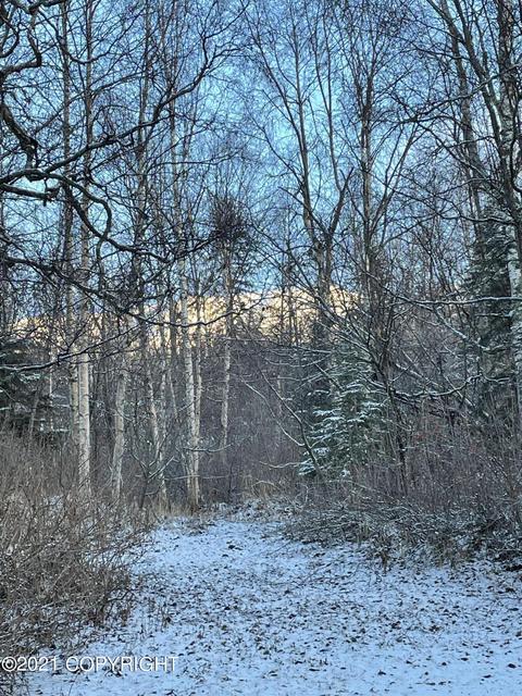 14423 Don Cir, Eagle River, AK 99577 photo 4