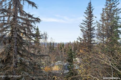18640 Jamie Dr, Eagle River, AK 99577 photo 13