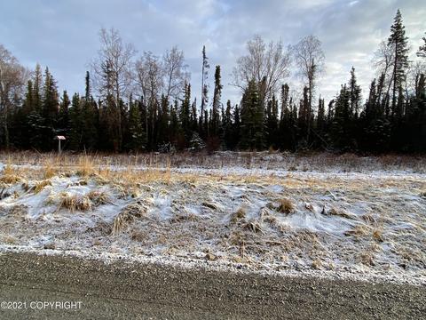 L187c Purple Iris Way, Remote, AK 99611
