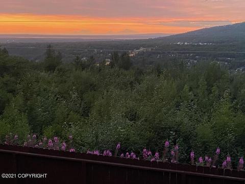 18949 Elnora Ln, Eagle River, AK 99577 photo 47