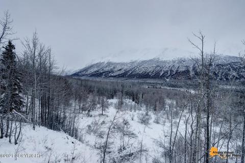 4470 Lower Kogru Dr, Eagle River, AK 99577 photo 88