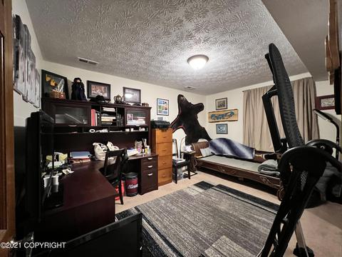 17643 Rachel Cir, Eagle River, AK 99577 photo 23
