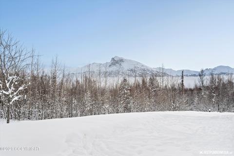 21695 Danielson Ave, Sutton, AK 99674 photo 38