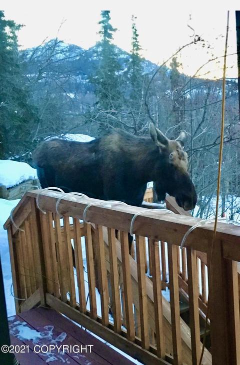 19011 Upper Skyline Dr, Eagle River, AK 99577 photo 22