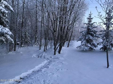 13301 Vasili Dr # 20, Eagle River, AK 99577 photo 35
