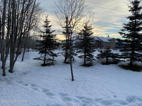 13301 Vasili Dr # 20, Eagle River, AK 99577 photo 36