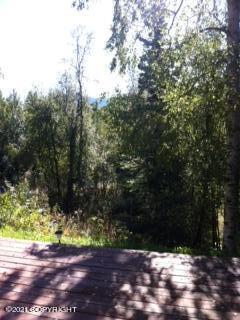 17811 Lacey Dr, Eagle River, AK 99577 photo 40
