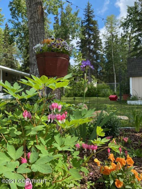 2716 Lore Rd, Anchorage, AK 99507 photo 48