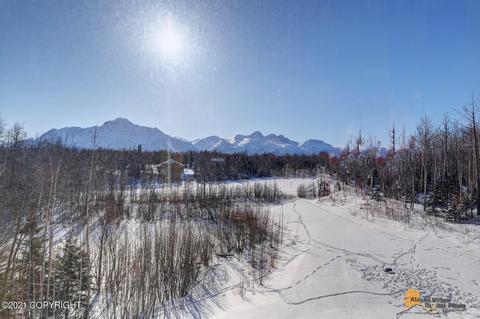 12534 E Outer Springer Loop, Palmer, AK 99645 photo 61