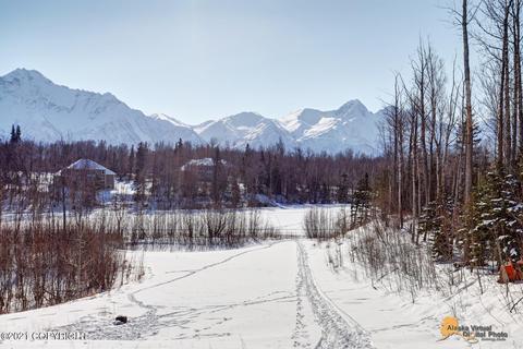 12534 E Outer Springer Loop, Palmer, AK 99645 photo 50
