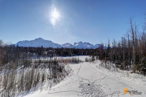 12534 E Outer Springer Loop, Palmer, AK 99645 photo 34