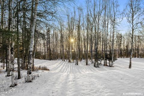 347 Dailey Ave # 2D, Anchorage, AK 99515 photo 44