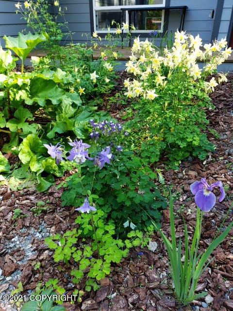21908 Grasser Rd, Chugiak, AK 99567 photo 79