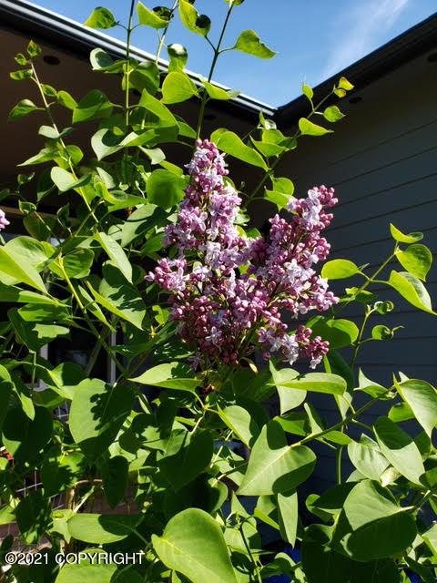 21908 Grasser Rd, Chugiak, AK 99567 photo 80