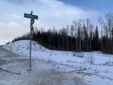 8475 E Marcell Cir, Palmer, AK 99645 photo 5