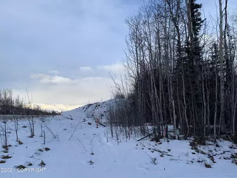 8475 E Marcell Cir, Palmer, AK 99645 photo 3