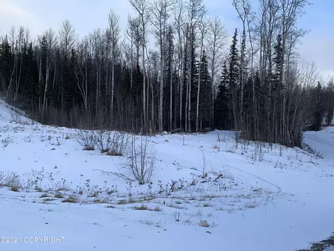 8475 E Marcell Cir, Palmer, AK 99645 photo 7