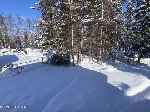 8731 Pluto Dr, Anchorage, AK 99507 photo 38