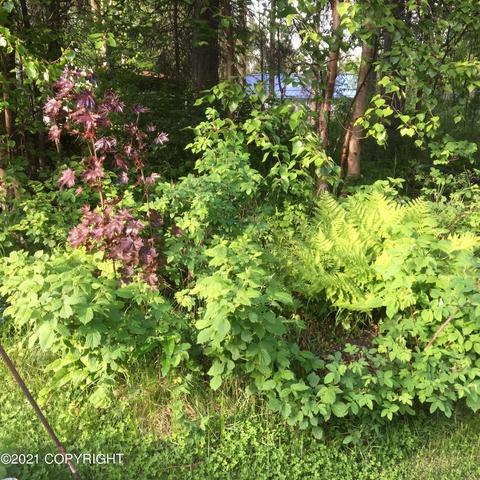 8731 Pluto Dr, Anchorage, AK 99507 photo 42