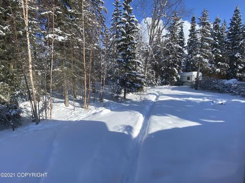 8731 Pluto Dr, Anchorage, AK 99507 photo 37