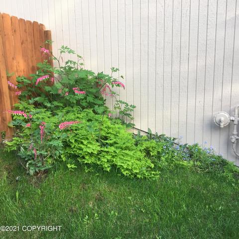 8731 Pluto Dr, Anchorage, AK 99507 photo 48