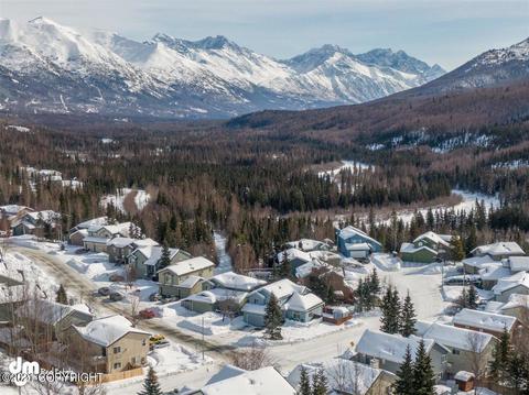 19000 Trail Bay Dr, Eagle River, AK 99577 photo 58