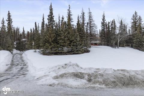 9231 Main Tree Dr, Anchorage, AK 99507 photo 40