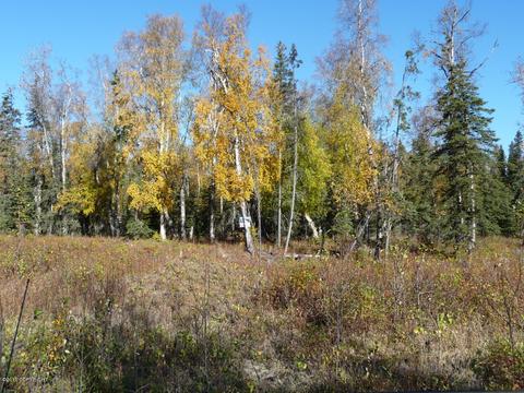 L5 B7 Newberry, Nikiskinorth Kenai, AK 99635