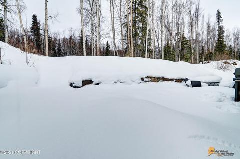 20495 Birch Crest Ln, Eagle River, AK 99577 photo 24