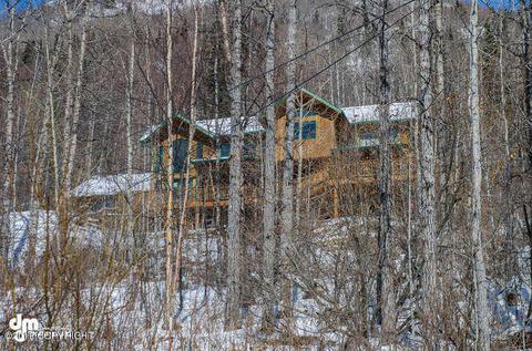 25135 Cates Ave, Eagle River, AK 99577 photo 2