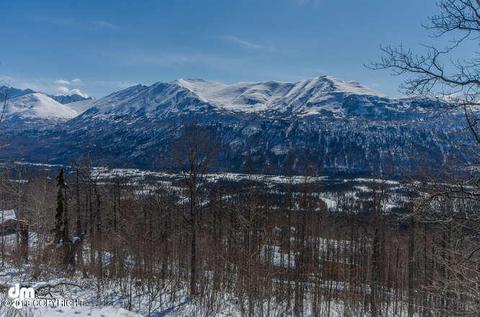 25135 Cates Ave, Eagle River, AK 99577 photo 32