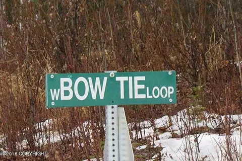 21543 W Bow Tie Loop, Willow, AK 99688 photo 8