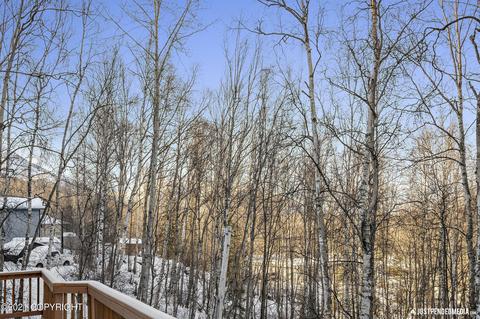 21344 Monron St, Chugiak, AK 99567 photo 32