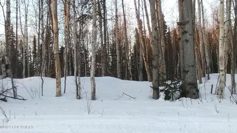 7603 E Downstream Dr, Palmer, AK 99645 photo 5