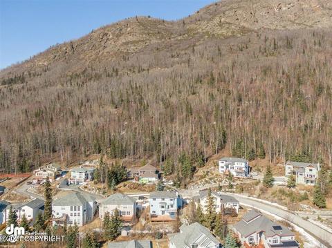 20638 Williamsburg Dr, Eagle River, AK 99577 photo 93