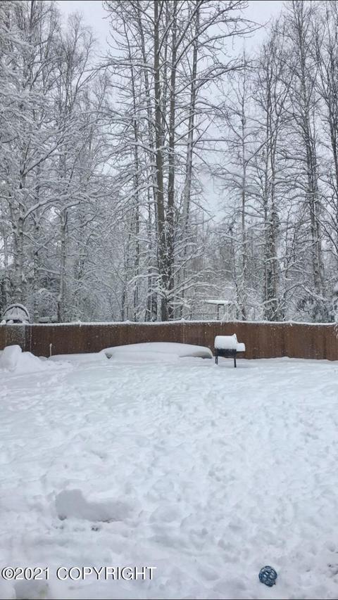 24205 Leos Rd, Chugiak, AK 99567 photo 25
