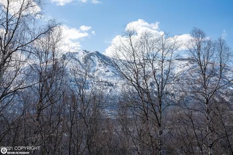 19924 Highland Ridge Dr, Eagle River, AK 99577 photo 19